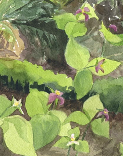 Detail , - beach, ocean, sea, coast, na pali, napali, cliffs, coast, mountains artwork by Emily Miller