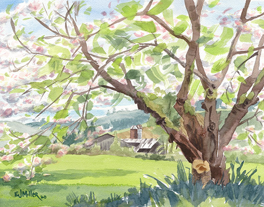 Apple Blossoms, Countryside - 2020 flowering artwork by Emily Miller