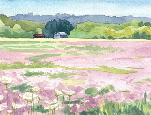 Left side detail Pink Clover Summer, Countryside - clover artwork by Emily Miller
