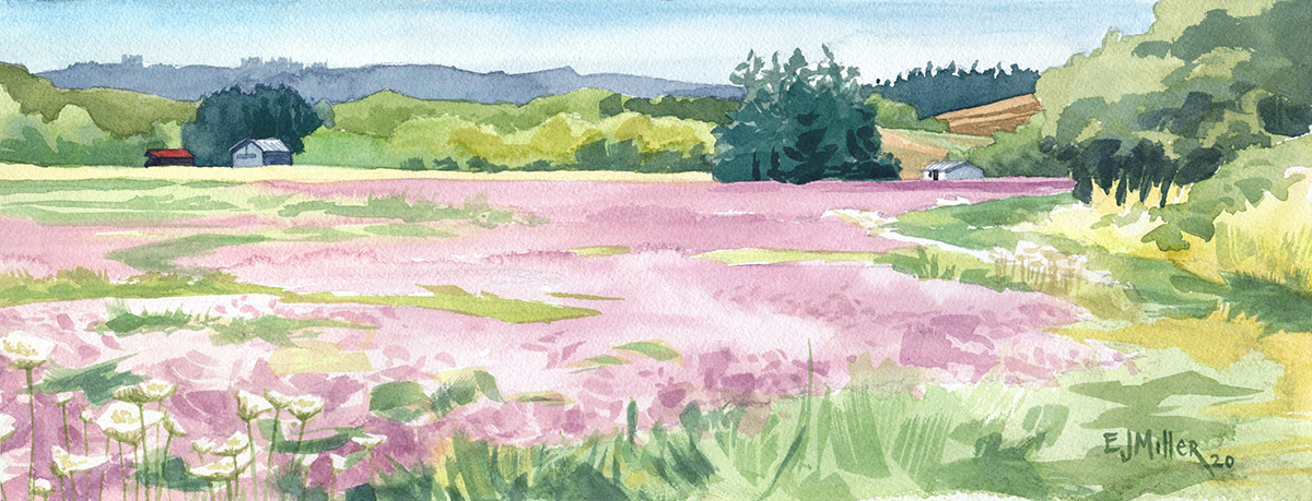 Pink Clover Summer, Countryside - clover artwork by Emily Miller