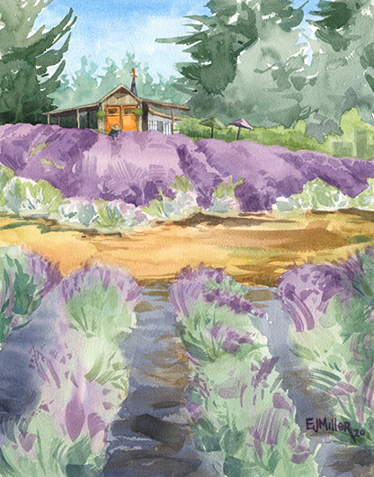 Lavender Breeze, Countryside -  artwork by Emily Miller