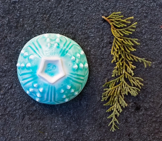 Urchin Mini bowl - aqua, Urchin Bowls -  artwork by Emily Miller