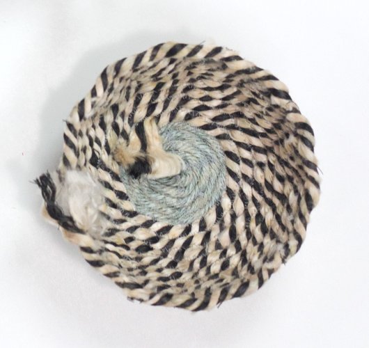 Zebra Moray Bowls (Simple Gray), $40