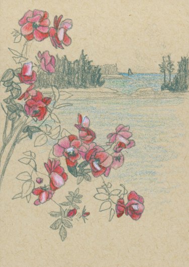 Print option without text Rose Moon, June 2021, Full Moon Drawings - flower artwork by Emily Miller