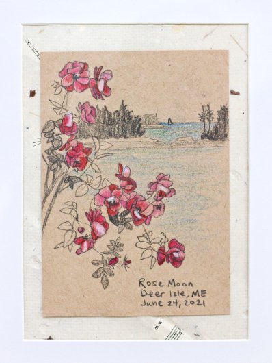Framed detail, mounted on handmade paper Rose Moon, June 2021, Full Moon Drawings - flower artwork by Emily Miller