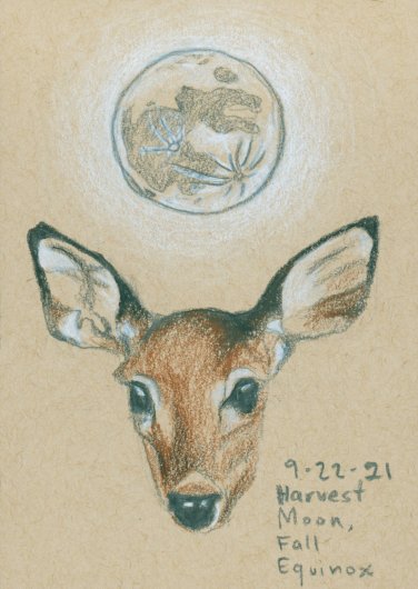 Harvest Moon, September 2021, Full Moon Drawings -  artwork by Emily Miller