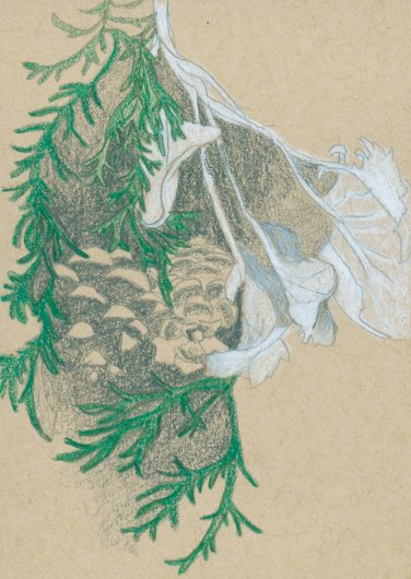 Print option without text Long Night Moon, December 2021, Full Moon Drawings -  artwork by Emily Miller