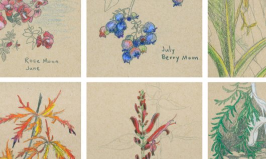Square format detail A Year of Full Moon Drawings, Full Moon Drawings -  artwork by Emily Miller