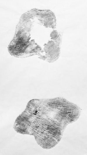  In the Smell of Trees, Printmaking - , haystack residency, 1000 Moons artwork by Emily Miller