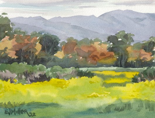 Ellwood Mesa mountain view, California - santa barbara, california artwork by Emily Miller