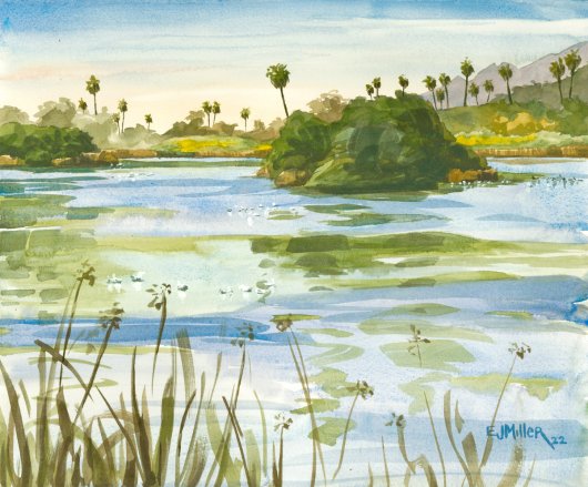 Santa Barbara Bird Refuge, California - santa barbara, california artwork by Emily Miller