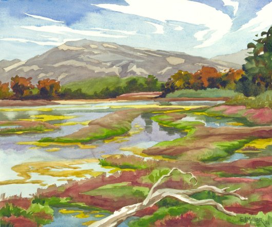 Devereux Slough, California - santa barbara, california artwork by Emily Miller