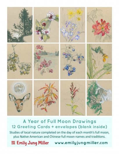 Greeting Card Set - A Year of Full Moon Drawings, 2022