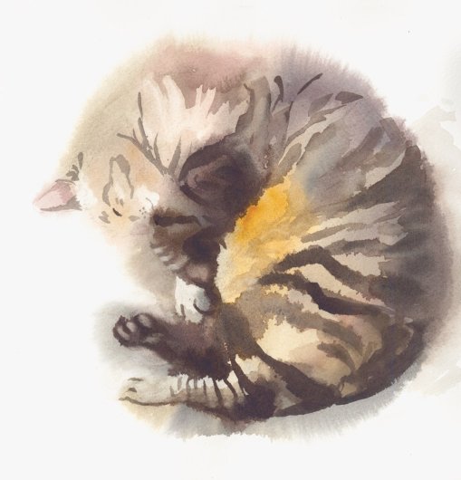 Sleepy Kiki, Still Life -  artwork by Emily Miller