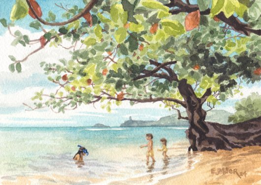Under the Kamani Tree, Noho 'ana — Kauai life - anini beach, kilauea lighthouse, commission artwork by Emily Miller
