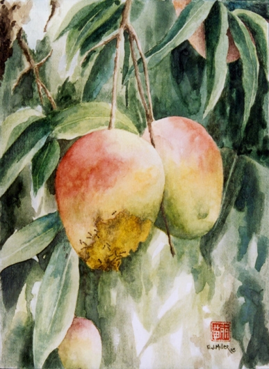 Gorgeous and Rotten - Mangos, Flora & Fauna - fruit, mango, tree artwork by Emily Miller